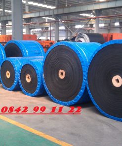 EP150 plastic belt conveyor