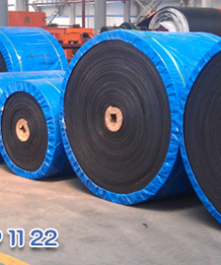 EP200 plastic belt conveyor