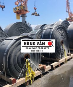 EP250 - EP300 plastic belt conveyor