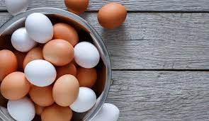 Chicken egg