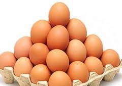 Chicken egg