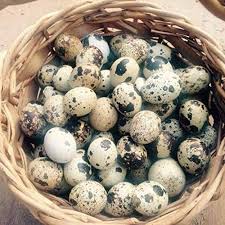 Quail egg