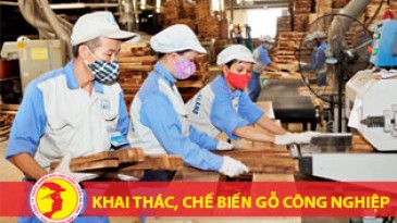 Safety inspection