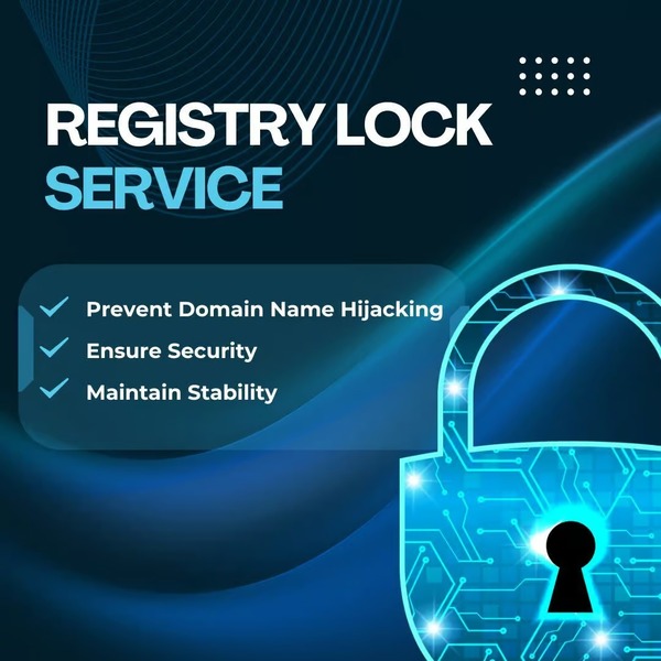Registry lock service