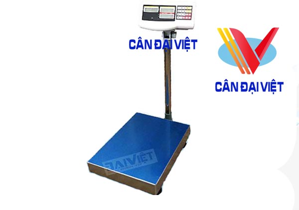 FCD Counting scale