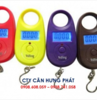 25KG Hook scale