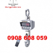 CAP Hook scale