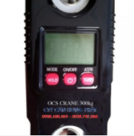 OCS 300Kg Hook scale