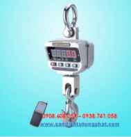 OCS ZX Hook scale