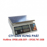 VNS-P Price scale
