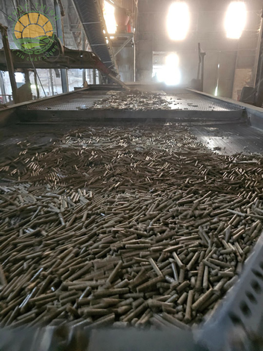 Rice husk pellets