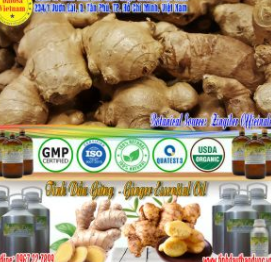 Ginger essential oil
