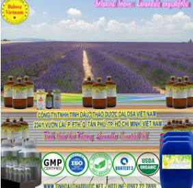 Lavender essential oil