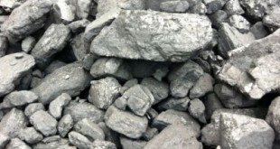 1B Stone coal
