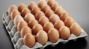Chicken egg