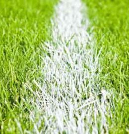 Rubber granules for soccer field
