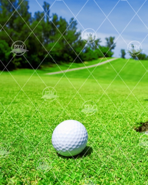 Supply and construction of artificial grass