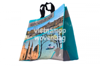PP woven shopping bag