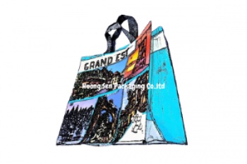 PP woven shopping bag