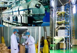 Pepper Sterilization Processing System