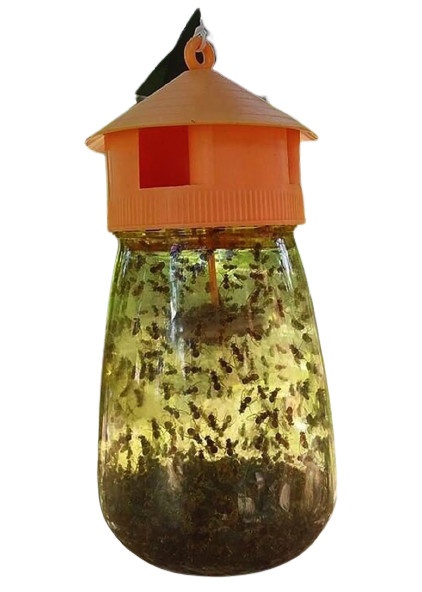 Fly control product