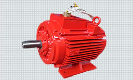 Explosion-proof motor