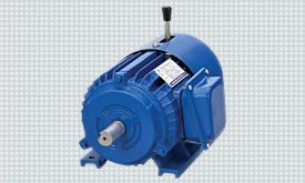 Gear motor