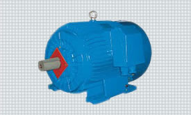 Multi-speed motor