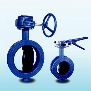 Butterfly valve