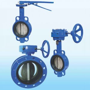 Butterfly valve