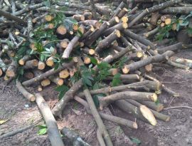 Rubberwood firewood