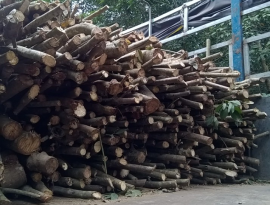 Rubberwood firewood