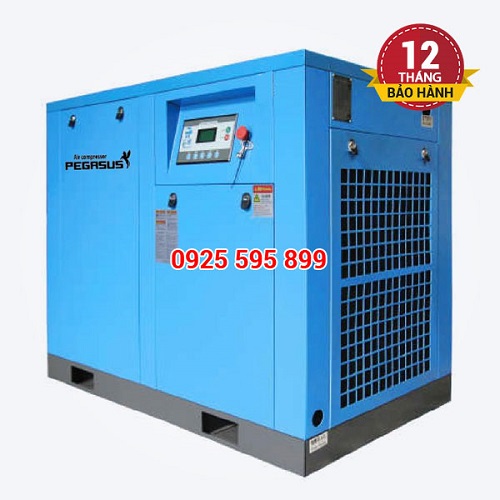 Pegasus Air Compressor