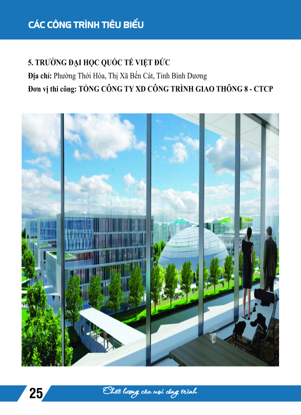 Viet Duc International University