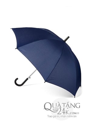 Handheld umbrella