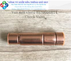 Check valve