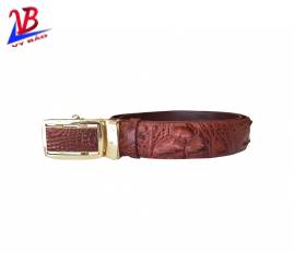 Brown belt