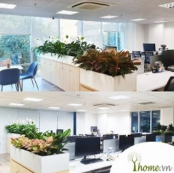 Office plant rental service