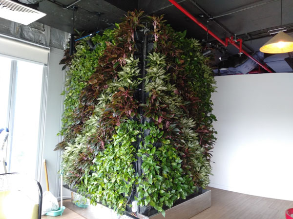 Project image