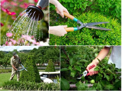 Garden maintenance