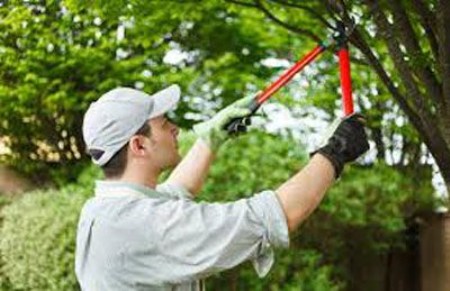 Garden care