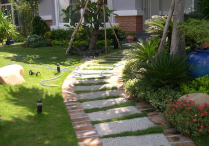 Miniature garden care