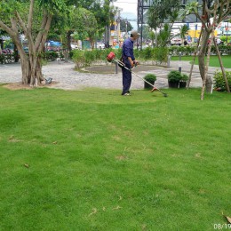 Landscape maintenance