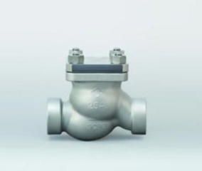 Check valve