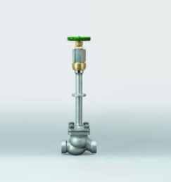 Globe valve