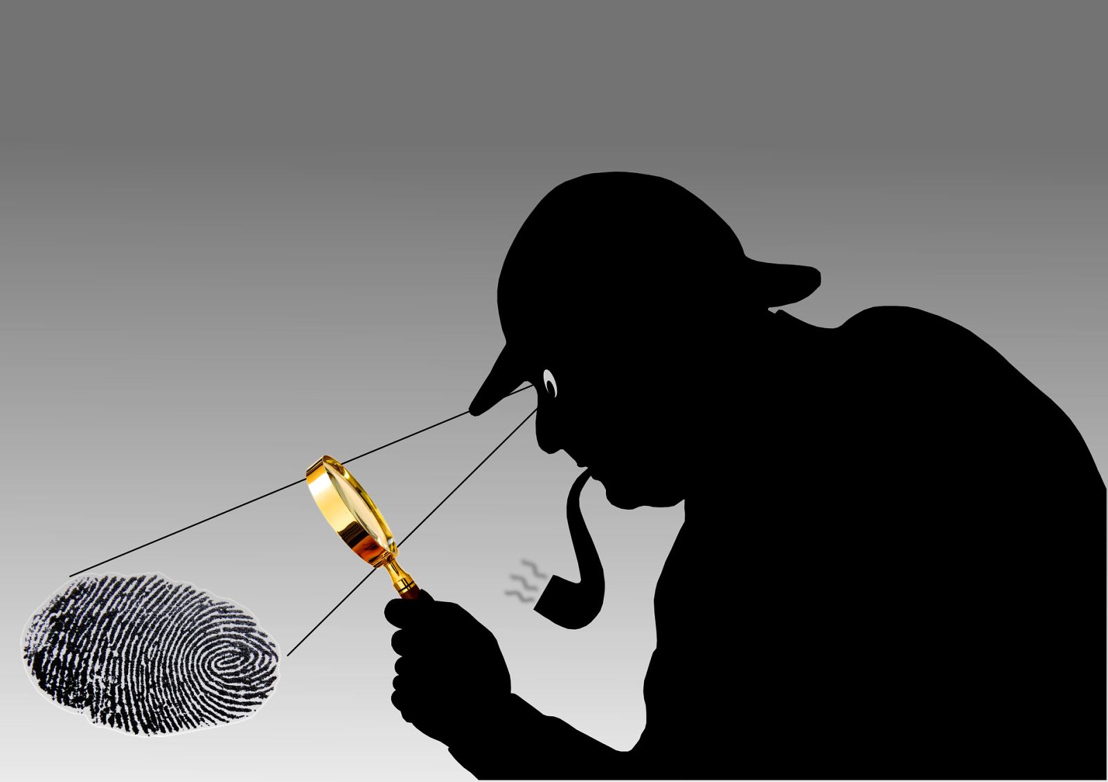 Information investigation