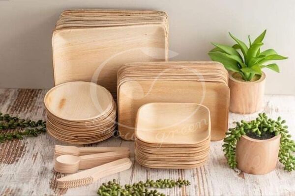 Areca palm leaf plates