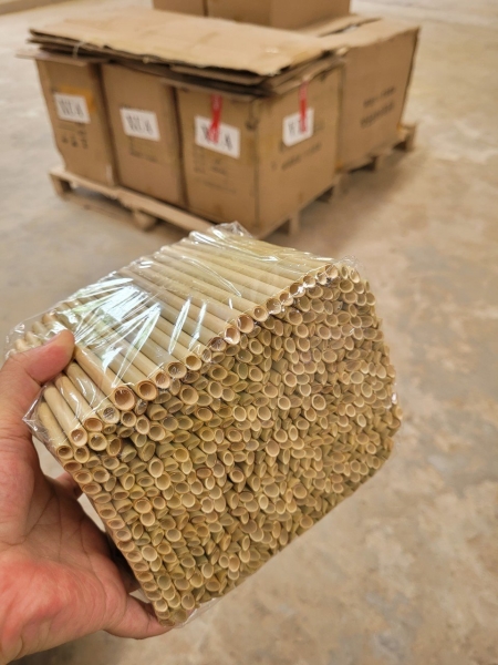 Bamboo straw