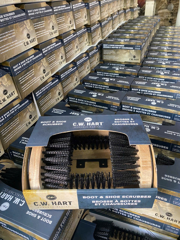 Shoe brush