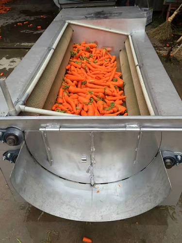 Agricultural produce washing machine
